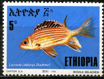 [Fish, tip ASL]