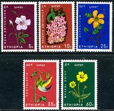 [Ethiopian Flowers, Typ XOX]