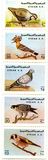 [Birds, type ABW]