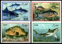 [Fish, ประเภท WD]