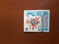 [Local Motives, type BN]