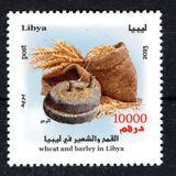 [Cereal Grains in Libya, type CYG]