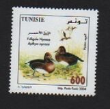 [The 11th Pan-African Congress for Ornithology - Birds, වර්ගය ARH]