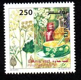 [Medicinal Plants, type AXM]