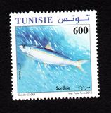 [Marine Life - Fish, тип AYE]