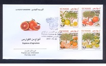 [Citrus Fruits of Tunisia, type BDO]