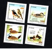 [The 11th Pan-African Congress for Ornithology - Birds, වර්ගය ARG]