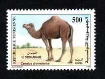 [Plants and Animals, тип ALM]