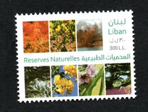 [Flora - Natural Reserves, tegund AFT]