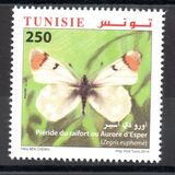 [Butterflies of Tunisia, Tip AZZ]