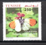 [Butterflies of Tunisia, Tip BAB]