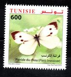 [Butterflies of Tunisia, Tip BAC]