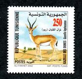 [Tourism in the Sahara Region, प्रकार AON]