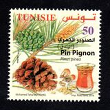 [Pine Trees, veids BBQ]