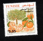 [Citrus Fruits of Tunisia, type BDO]