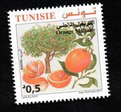 [Citrus Fruits of Tunisia, type BDQ]