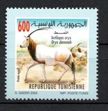 [Animals and Plants, type AQF]