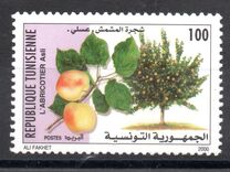 [Fruit Trees, τύπος AMA]