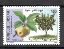 [Fruit Trees, type AMC]