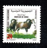 [Fauna of Zembra and Zembretta National Park, 类型 AOJ]
