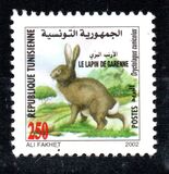[Fauna of Zembra and Zembretta National Park, 类型 AOK]