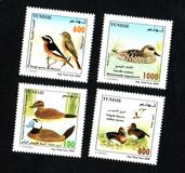 [The 11th Pan-African Congress for Ornithology - Birds, වර්ගය ARG]