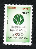 [International Year of Plant Health, type BGM]