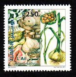 [Medicinal Plants, type AXN]