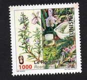 [Medicinal Plants, type AXP]