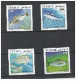 [Marine Life - Fish, тип AYC]