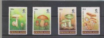 [Mushrooms, 类型 SM]