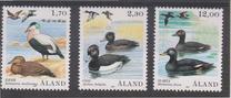 [Birds - Ducks, type O]