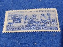 [Ethnography of USSR, type CZ]