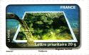 [Stamp Festival - Water Protection, tip EVB]