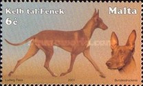 [Dogs, type AKA]
