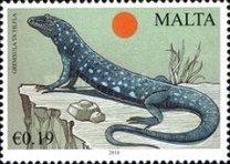 [International Year of Biodiversity, type BBC]