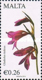 [Maltese Flora, tipas DJA]