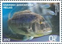 [Marine Life - Riches of the Greek Seas, type CEM]