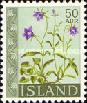 [Flowers, Tipi FG]