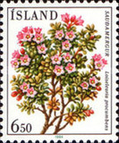 [Plants, Tipe OA]