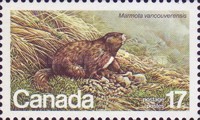[Endangered Wildlife, 유형 AAD]