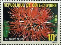 [Flowers, type QL]