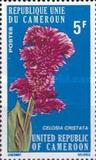 [Flowers of North Cameroun, տեսակ RB]