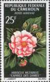 [Flowers, type FM]