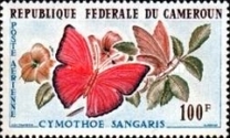[Airmail - Tourism, Вид CP]