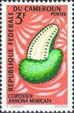 [Fruits, Tipe HC]