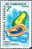 [Fruits, Tipe HB]