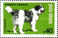 [Dog Show "Canina", type FFR]