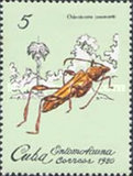 [Insects, 类型 CZK]