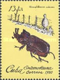 [Insects, 类型 CZN]